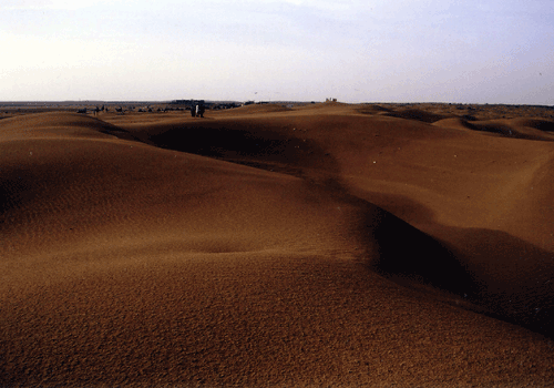 ジャイサルメールの砂漠.gif